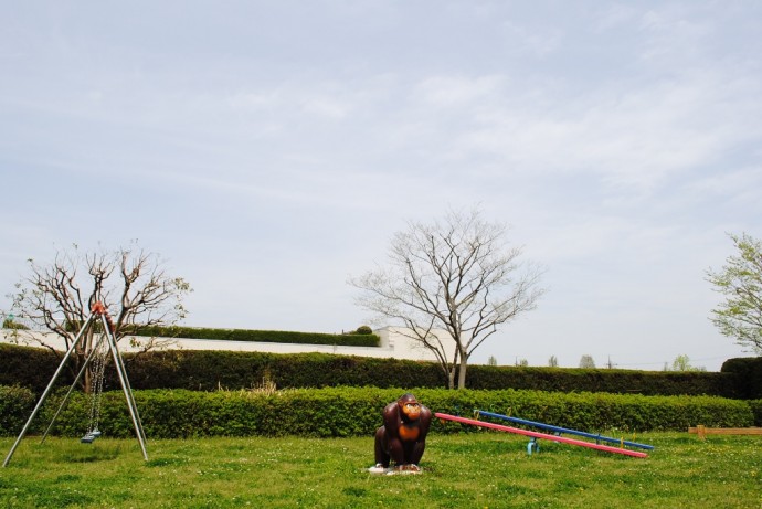 公園にいたゴリラ/滋賀県大津市